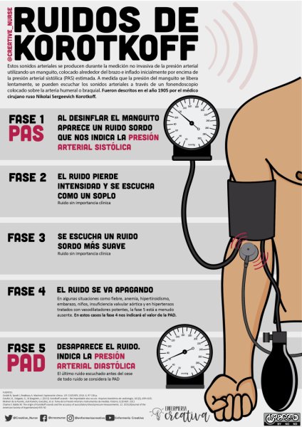 ¿Cuáles son las 5 etapas de la hipertensión?