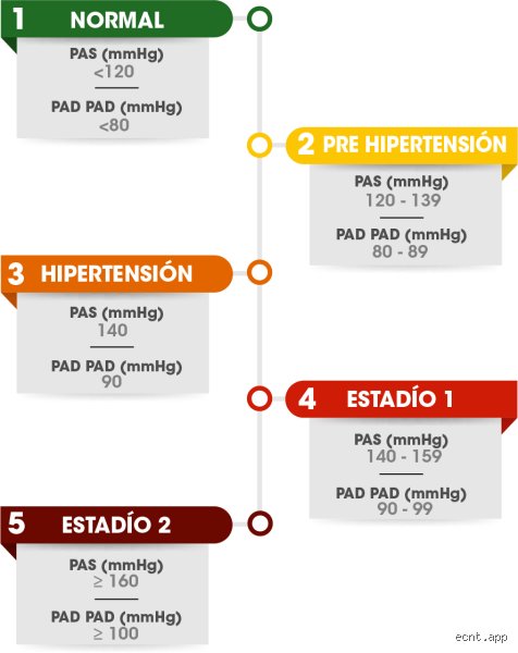 ¿Cuáles son los 4 tipos de hipertensión?