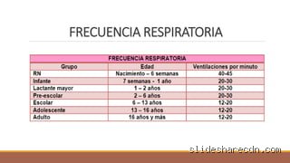 ¿Cuáles son los 7 signos vitales?