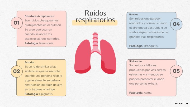 ¿Cuáles son los sonidos que indican problemas respiratorios?