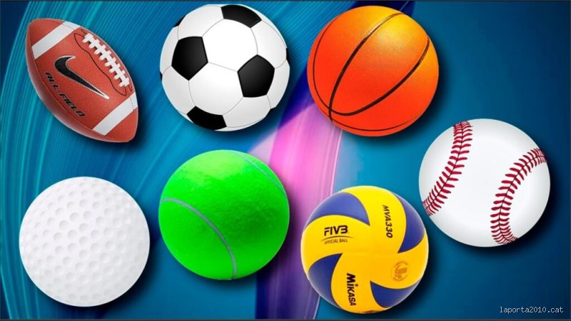 ¿Cuáles son los 4 deportes más importantes?