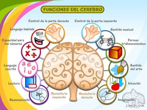 ¿Cómo puedo entrenar mi cerebro?