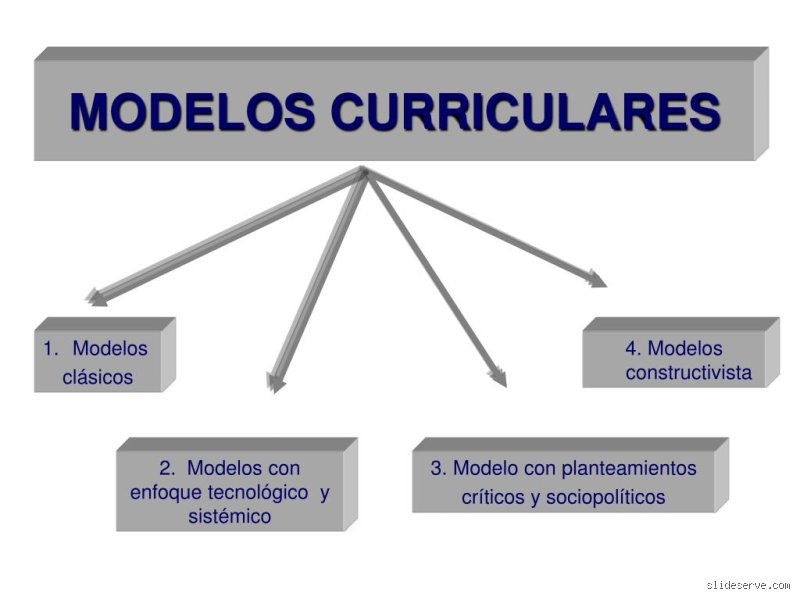 ¿Cuáles son los 4 modelos curriculares?