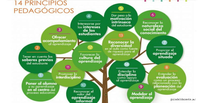 ¿Cuántos principios didácticos hay?
