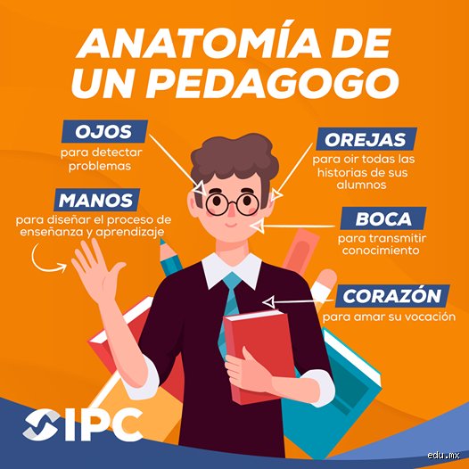 ¿Un pedagogo puede ser profesor?