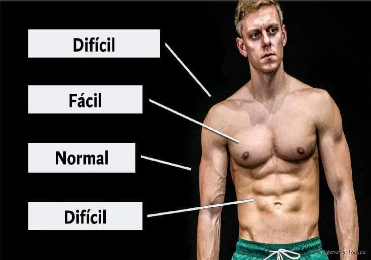 ¿Cuál es el músculo más difícil de fortalecer?