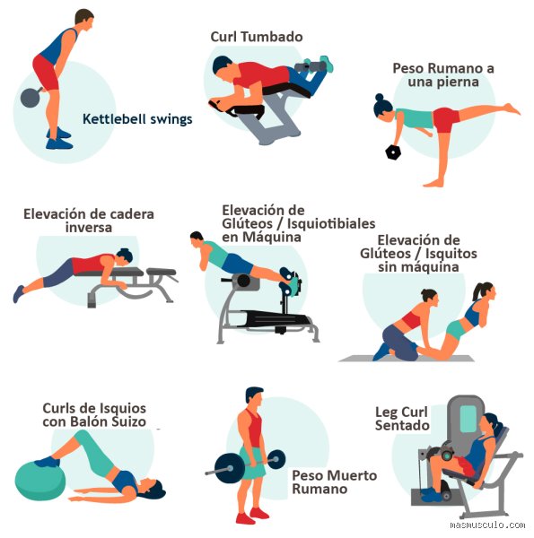 ¿Cuáles son los 4 mejores ejercicios para las piernas?
