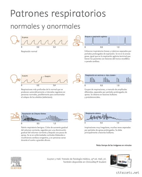 ¿Cuáles son los 4 tipos de respiración anormal?