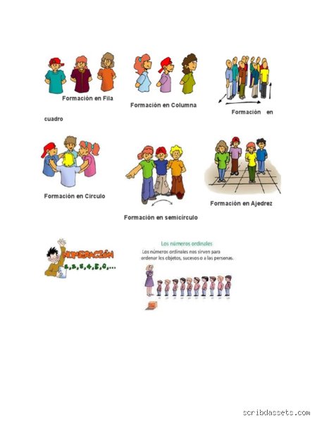 ¿Cuáles son los 7 ejercicios de orden?