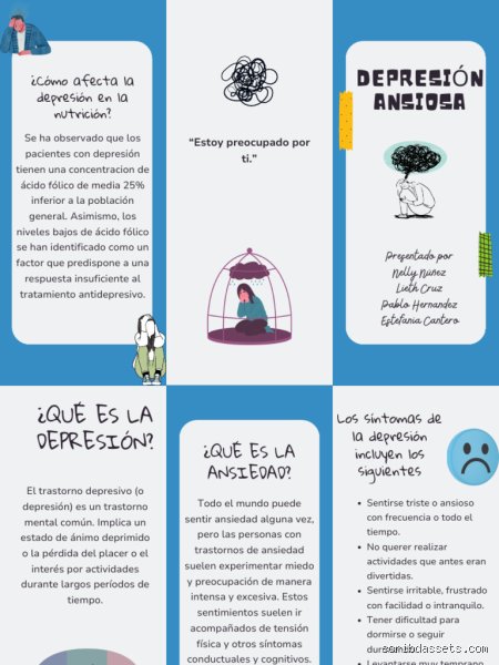¿Cómo afecta el ácido fólico a la ansiedad?