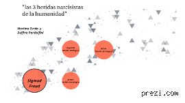 ¿Cuáles son las 3 heridas narcisistas?