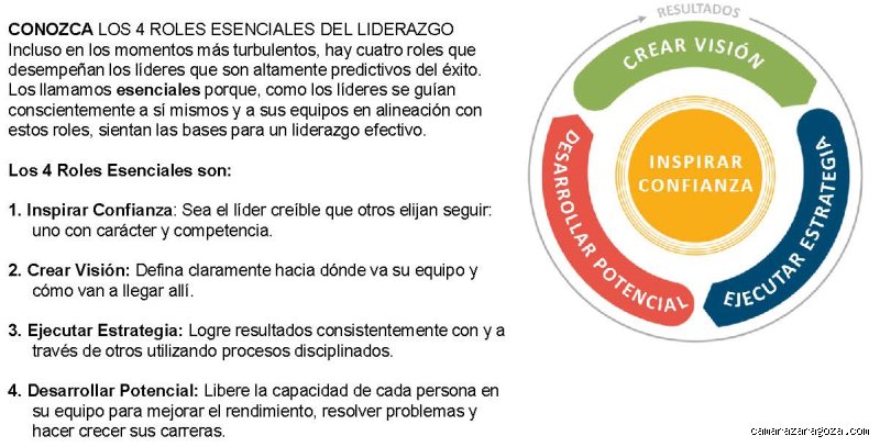 ¿Cuáles son las 4 competencias fundamentales del liderazgo?