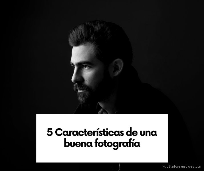 ¿Cuáles son las 5 características de una buena fotografía?