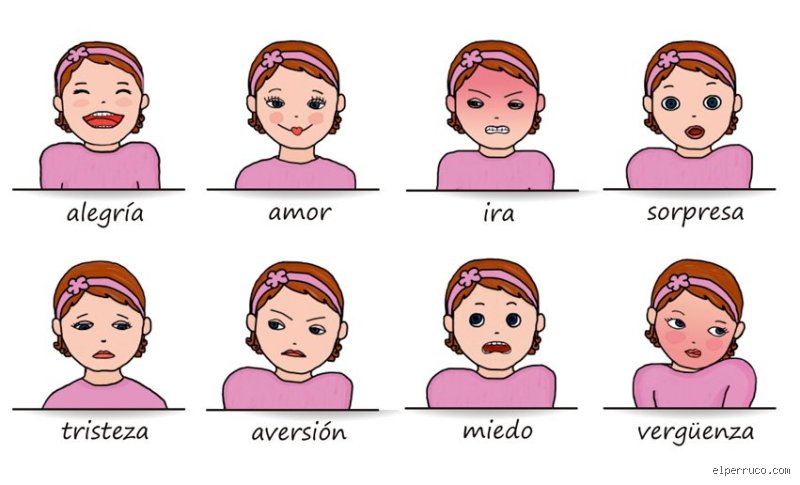 ¿Cuáles son las 7 emociones de la vida?