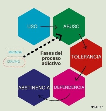 ¿Cuáles son los 4 niveles de adicción?