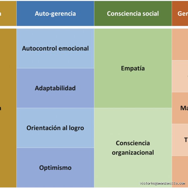 ¿Cuáles son los 4 pilares de la mentalidad?