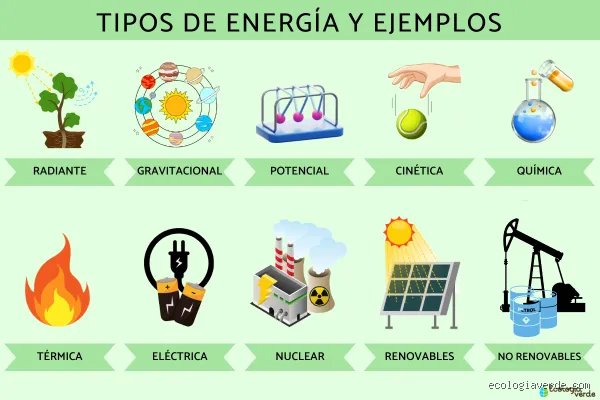 ¿Cuáles son los 4 tipos de generación?