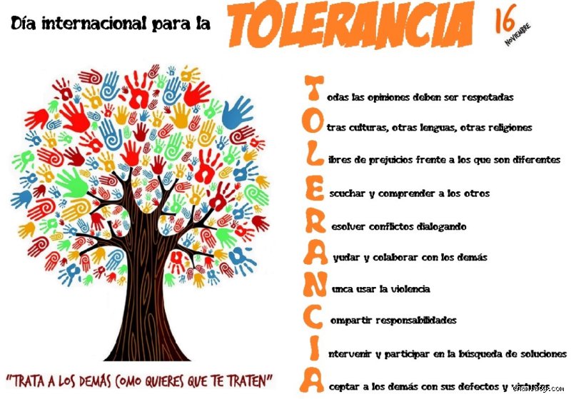 ¿Cuáles son los 4 tipos de tolerancia?