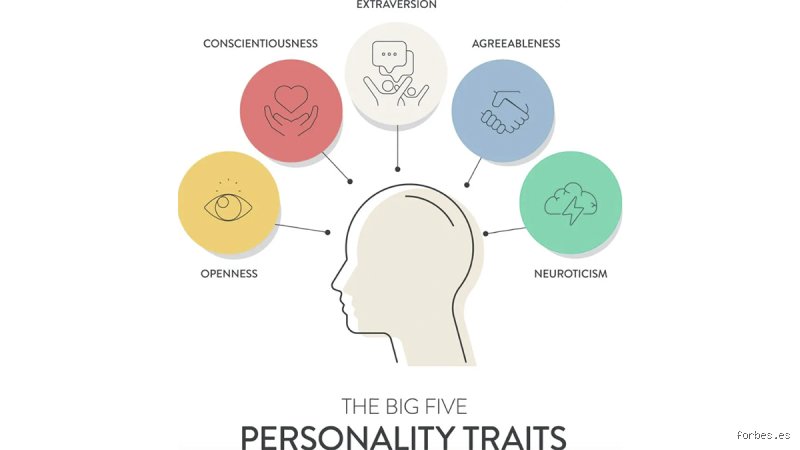 ¿Cuáles son los 5 tipos de personalidad?