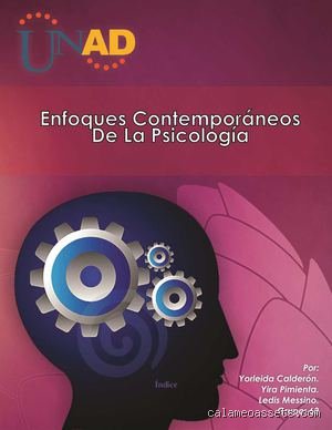 ¿Cuáles son los 6 enfoques contemporáneos de la psicología?