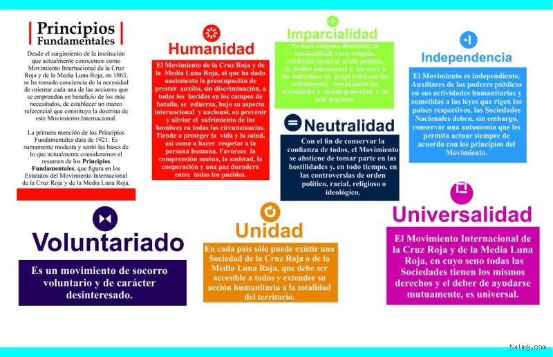 ¿Cuáles son los 7 principios fundamentales?