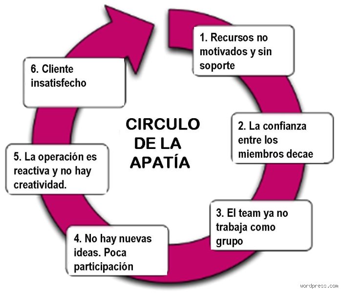 ¿Cuáles son los tres tipos de apatía?