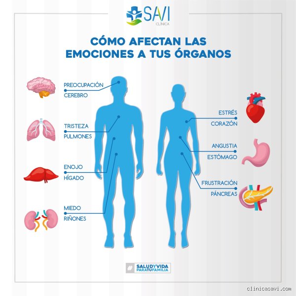 ¿Dónde se almacena el enojo?
