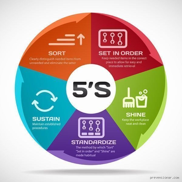 ¿Cuáles son las 5 S del trabajo en equipo?