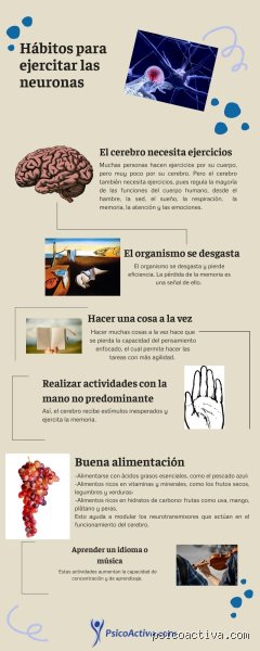 ¿Cómo evitar que mis neuronas mueran?