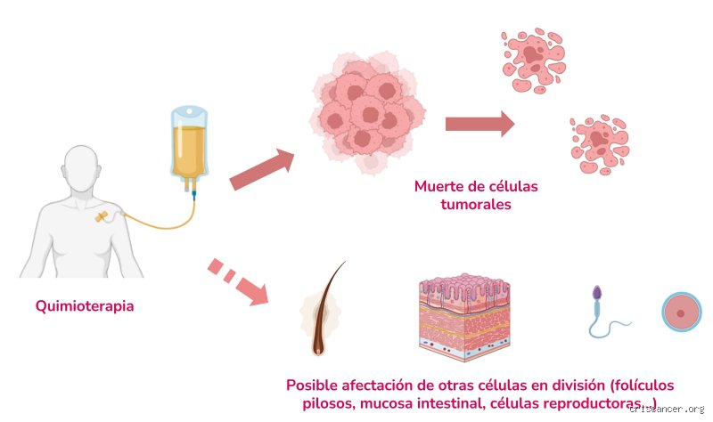 ¿Cómo hacer para que el cáncer no avance?