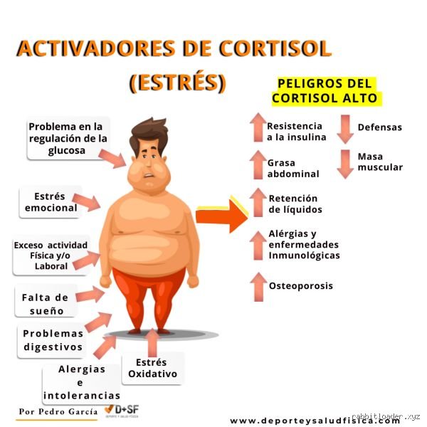 ¿Cómo me doy cuenta si tengo el cortisol alto?