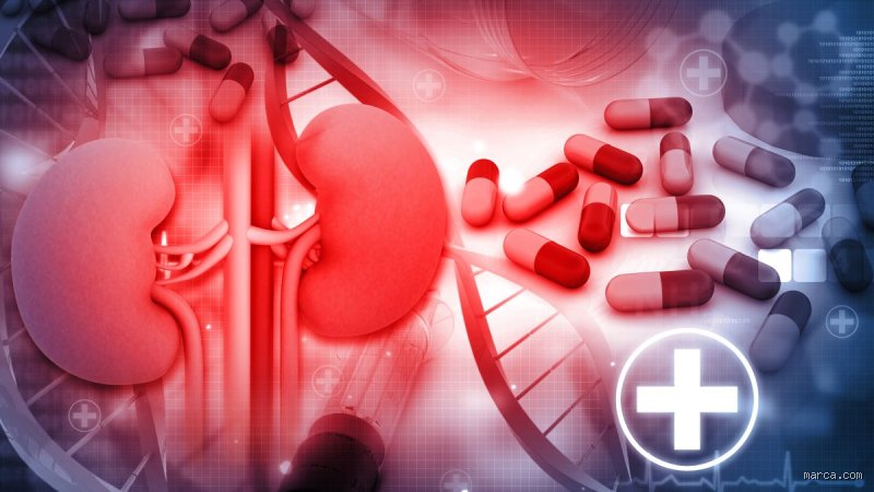 ¿Cómo saber si tengo daño renal por medicamentos?