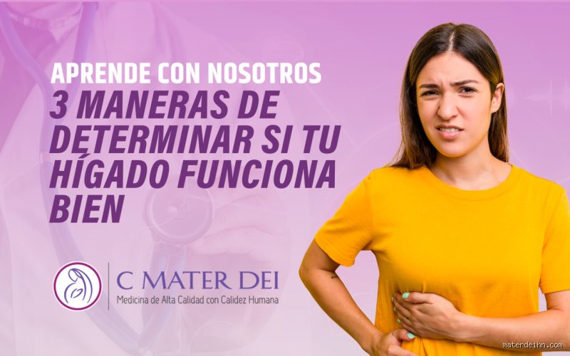 ¿Cómo saber si tu hígado necesita ayuda?