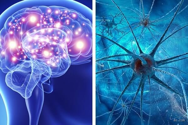 ¿Cómo saber si tus neuronas están dañadas?