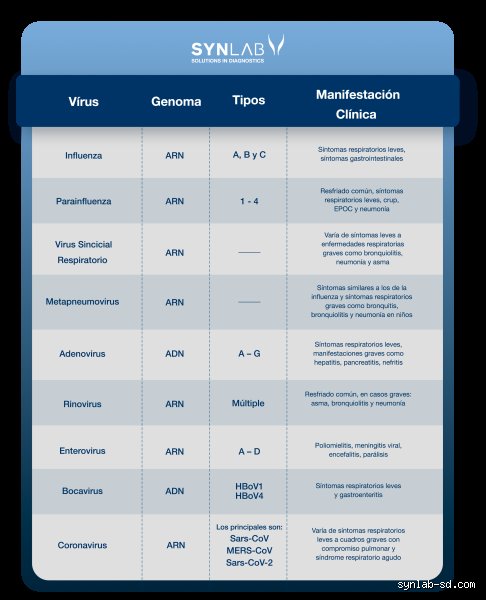 ¿Cuál de los siguientes signos indicaría un problema respiratorio en las vías respiratorias inferiores?