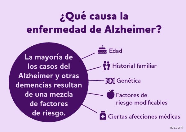 ¿Cuál es la causa principal de la enfermedad de Alzheimer?
