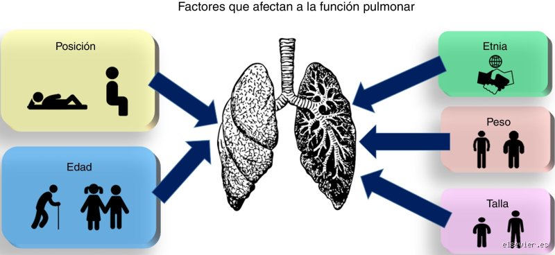 ¿Cuáles son 4 cosas que dañan los pulmones?