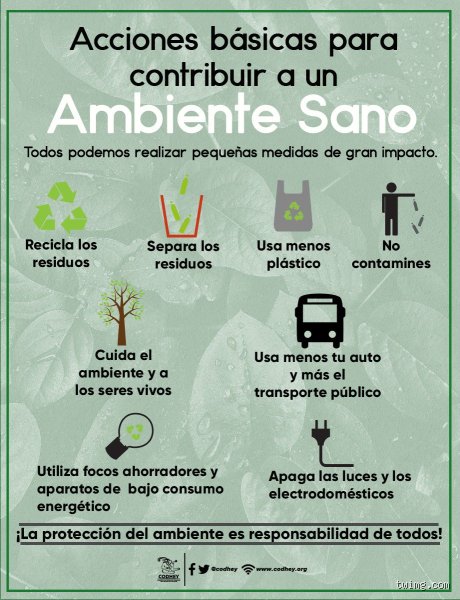 ¿Cuáles son las 10 características de un ambiente sano?