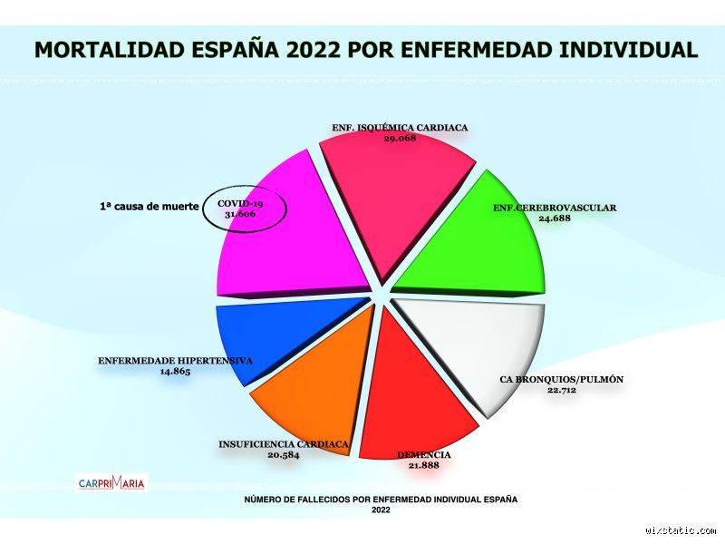 ¿Cuáles son las 3 primeras causas de muerte en España?
