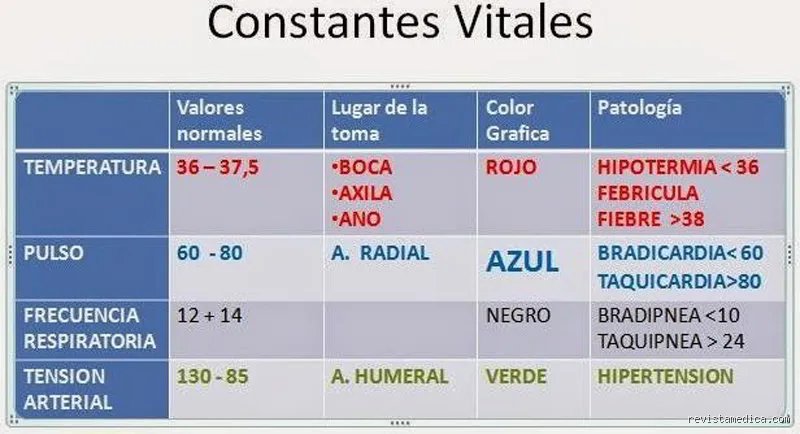 ¿Cuáles son las 5 constantes vitales?