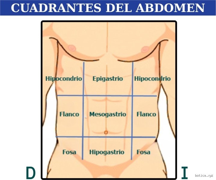 ¿Cuáles son las 6 F del dolor abdominal?