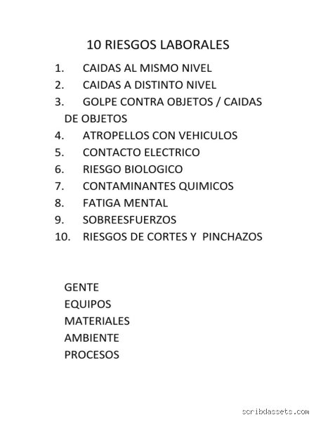 ¿Cuáles son los 10 riesgos?