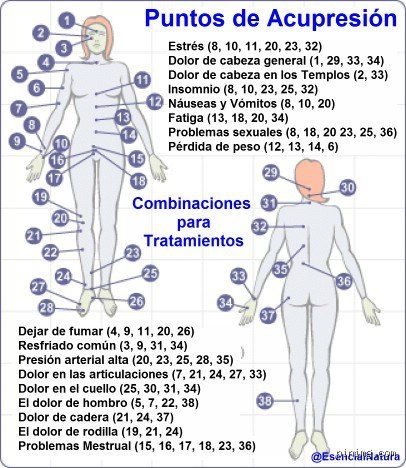 ¿Cuáles son los 13 puntos de presión?