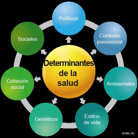 ¿Cuáles son los 4 determinantes de salud?