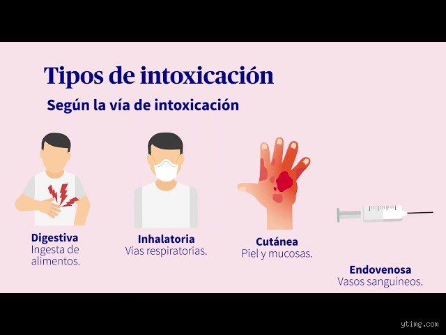 ¿Cuáles son los 4 tipos de intoxicación?
