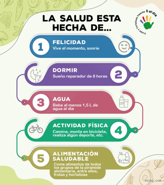 ¿Cuáles son los 5 componentes de la salud?
