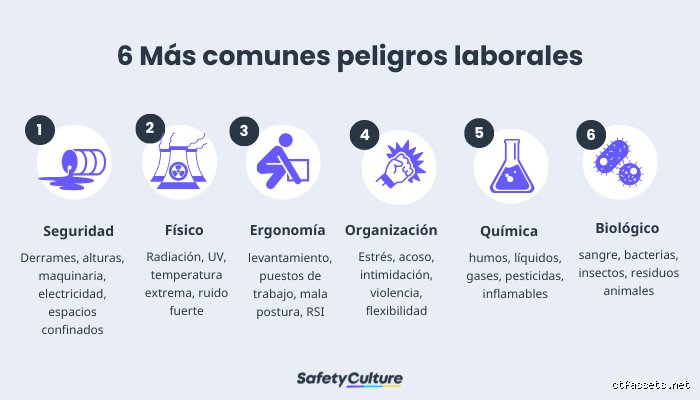 ¿Cuáles son los 7 peligros?