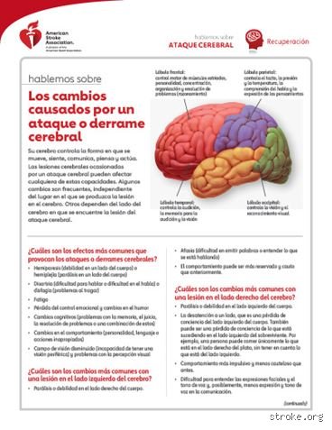 ¿Cuáles son los efectos físicos del daño cerebral?