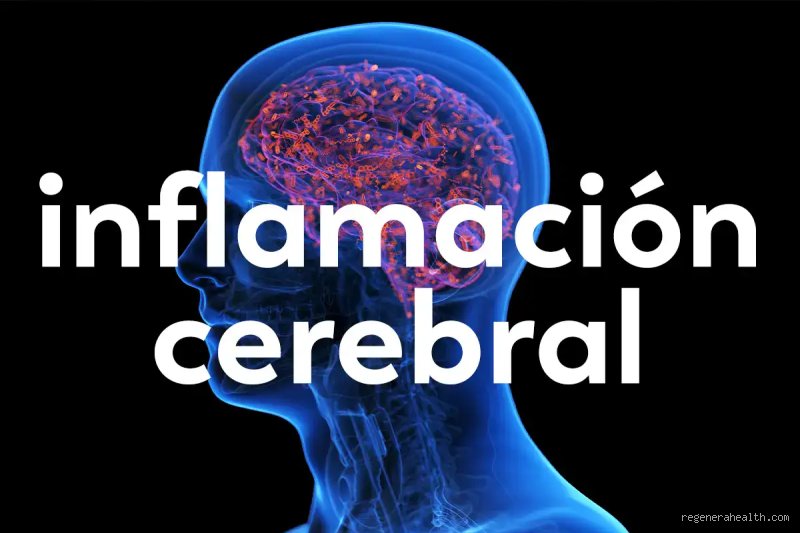 ¿Cuáles son los síntomas de un cerebro cansado?