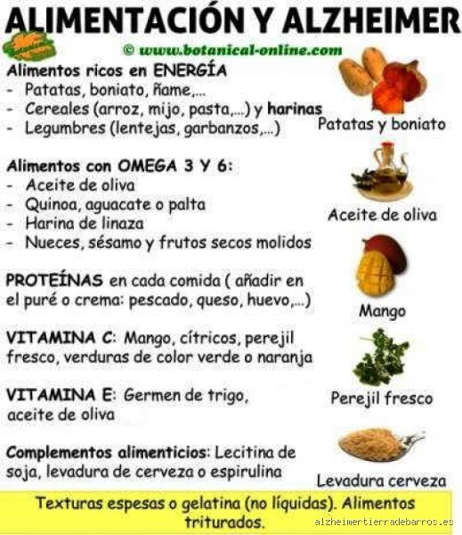 ¿Cuáles son los tres alimentos que provocan demencia?